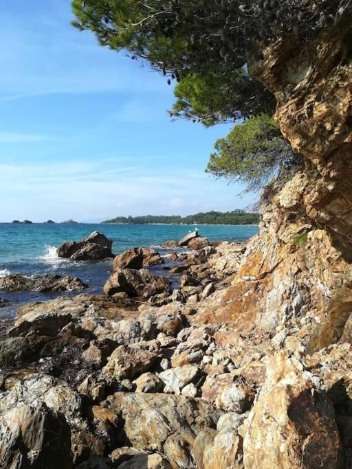 Les Jardins Du Luxembourg Apartment Hyeres Ngoại thất bức ảnh